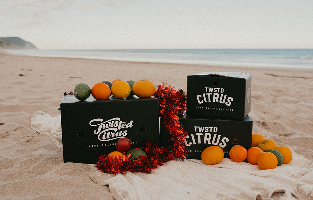 Summer Fruit - Fruity Christmas with Twisted Citrus